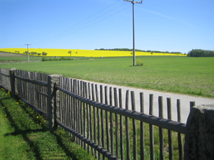 Blick von der Grundstücksgrenze